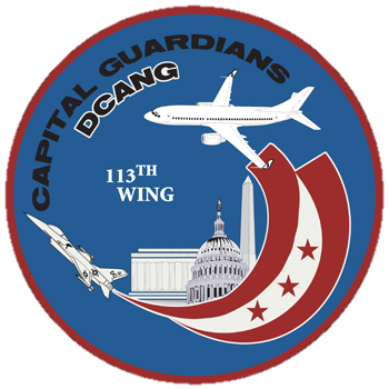 113th Wing D.C. Air National Guard patch 